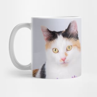 lovely kitten Mug